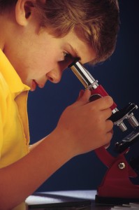 scrutinize
