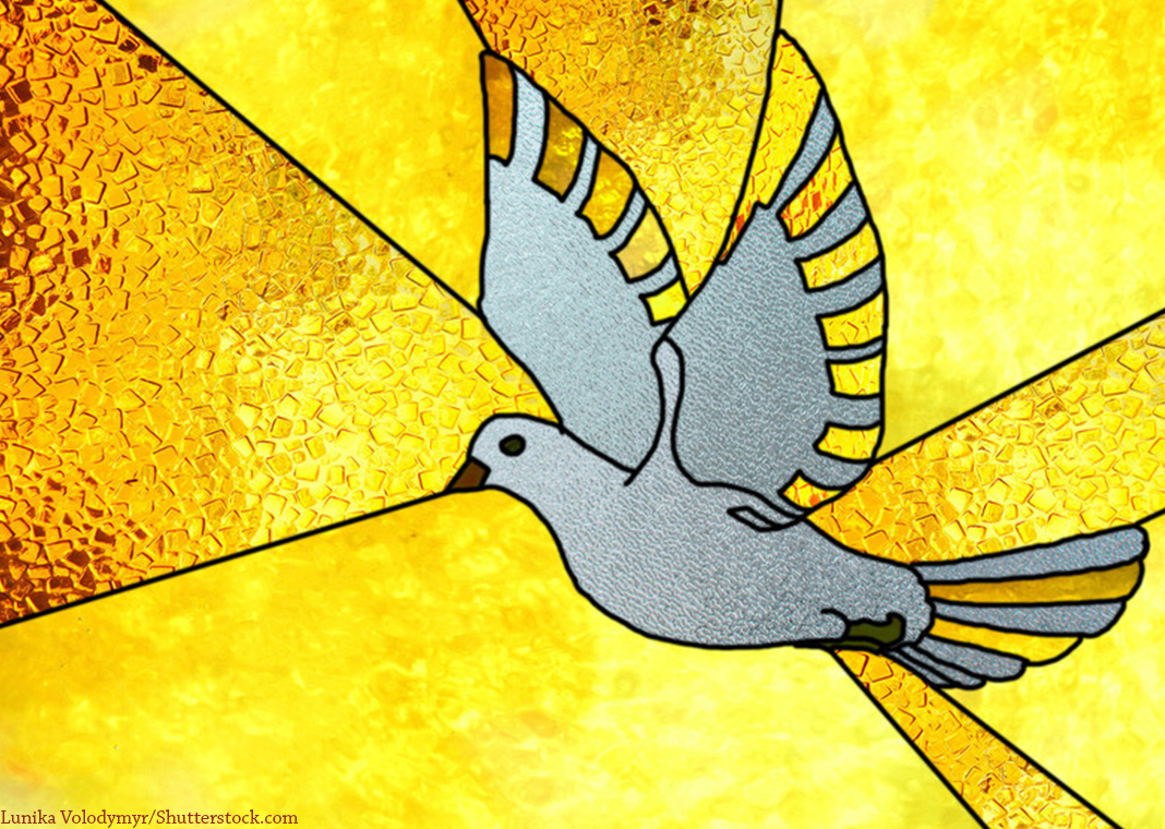 Holy Spirit dove in stained glass window - lunika Volodymyr/Shutterstock.com
