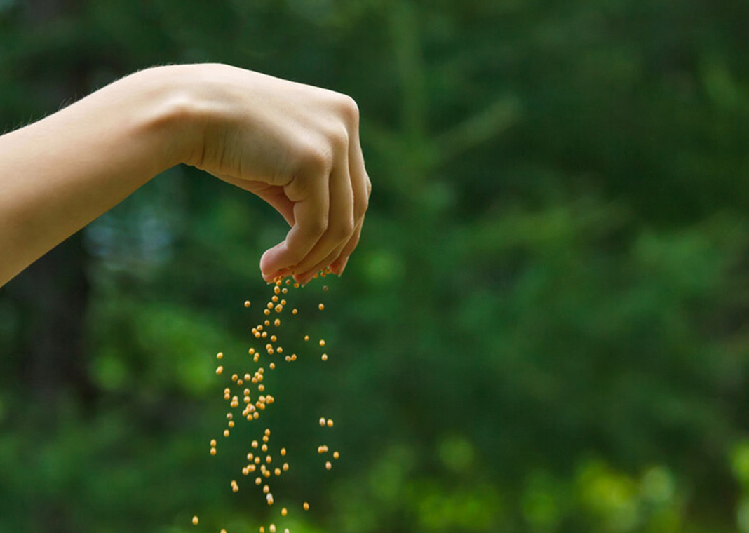 sowing seeds - banderchenno/Shutterstock.com