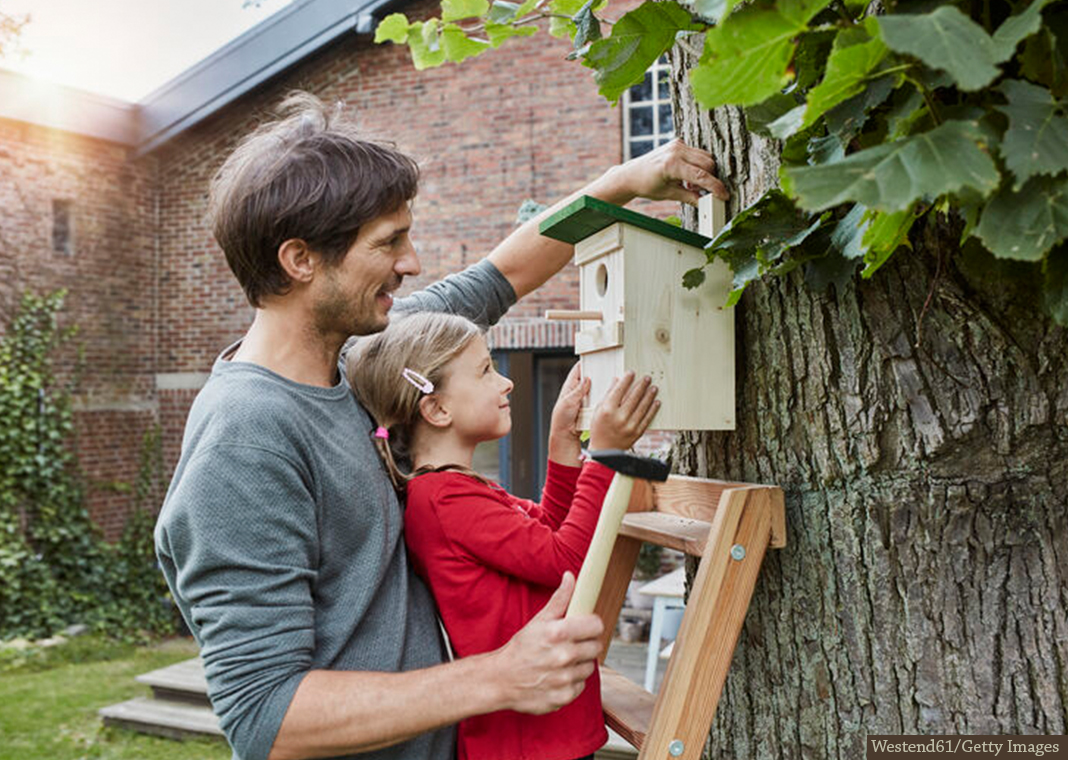 father and daughter building a birdhouse - Westend61/Getty Images