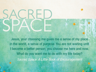 Quote from "Sacred Space: A Little Book of Encouragement": "Jesus, your choosing me gives me a sense of my place in the world, a sense of purpose. You are not waiting until I become a better person; you choose me here and now. What do you want me to do with my life today?"