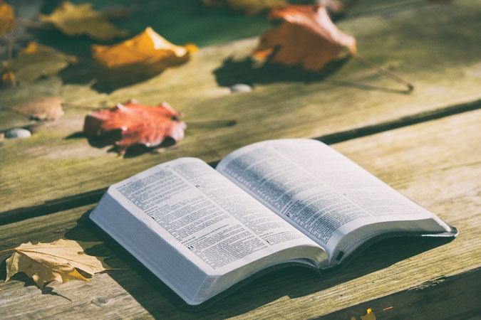 open Bible amidst fall leaves
