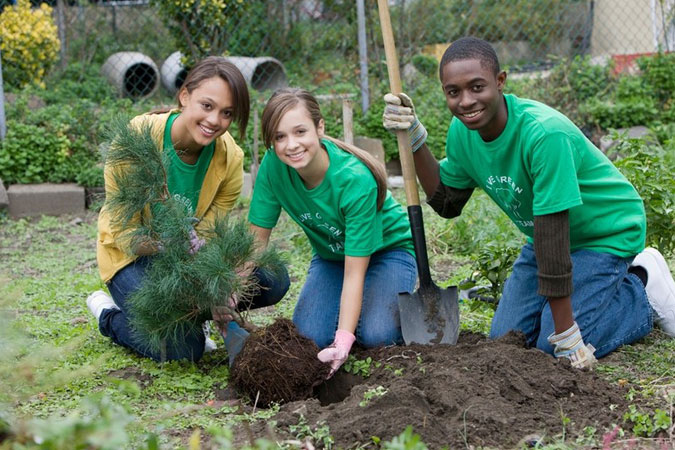 teens planting a tree