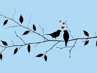 lovebirds illustration - mysondanube/DigitalVision Vectors/Getty Images