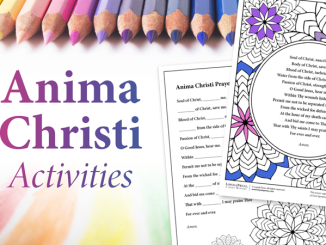 Anima Christi Activities