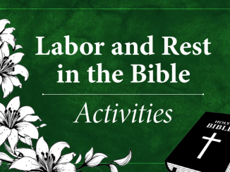 Labor and Rest in the Bible Activities